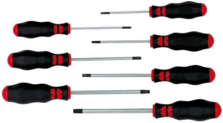 Schraubendreher-Satz TORX mit Bohrung