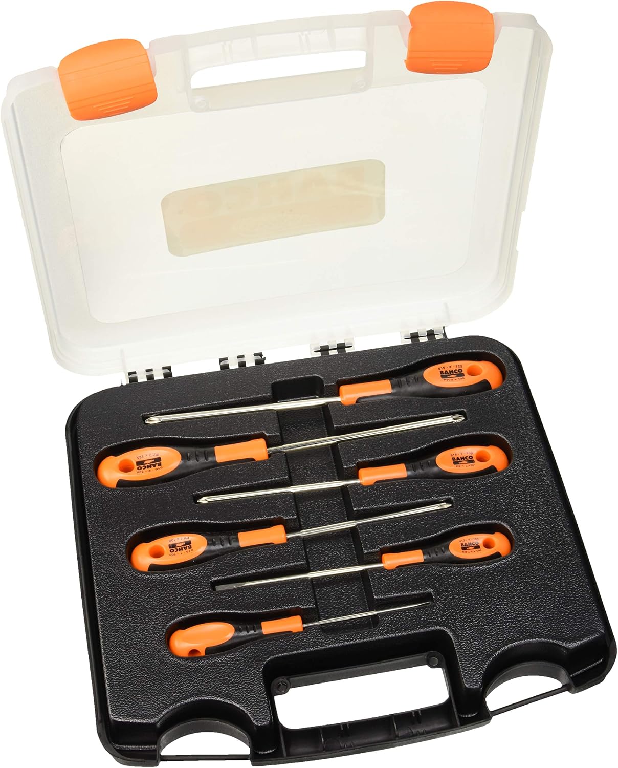 Scrwd Set 6 pcs Plastic Case